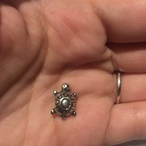Pandora turtle charm
